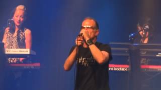 Men Without Hats - Antarctica (2013-02-05, Szene, Wien)