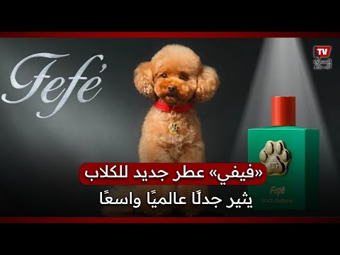 شاهد الفيديو
