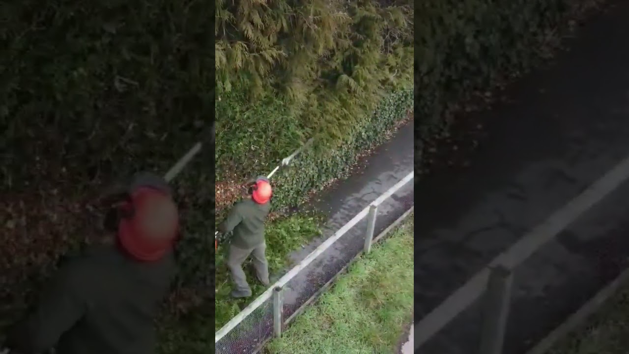 HOW TO USE STIHL LONG REACH PETROL HEDGE CUTTERS DRONE #shorts #silent #youtubeshorts #satisfying