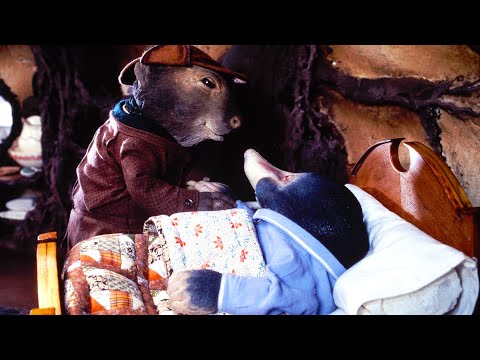 Badger's Remedy | The Wind in the Willows | Full Episode