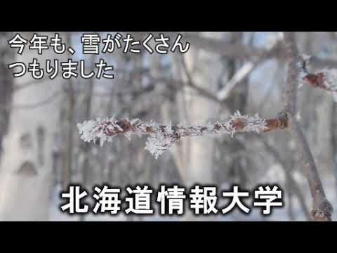情報メディア学科 ＜2023年2月号＞HIUキャンパス便り