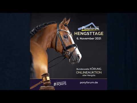 MAGIC BOY v. The Breas My Mobility (Wel.B) – Fidermark (Westf)(NEU)