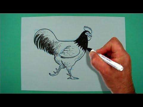 Wie zeichnet man einen Hahn? Zeichnen für Kinder