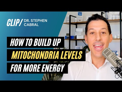 How To Build Up Mitochondria Levels For More Energy | Dr. Stephen Cabral