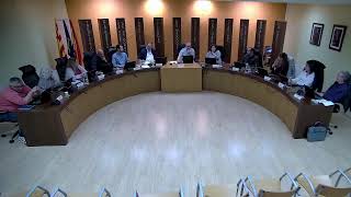 PLE ORDINARI DE  DATA 26 DE FEBRER DE 2026