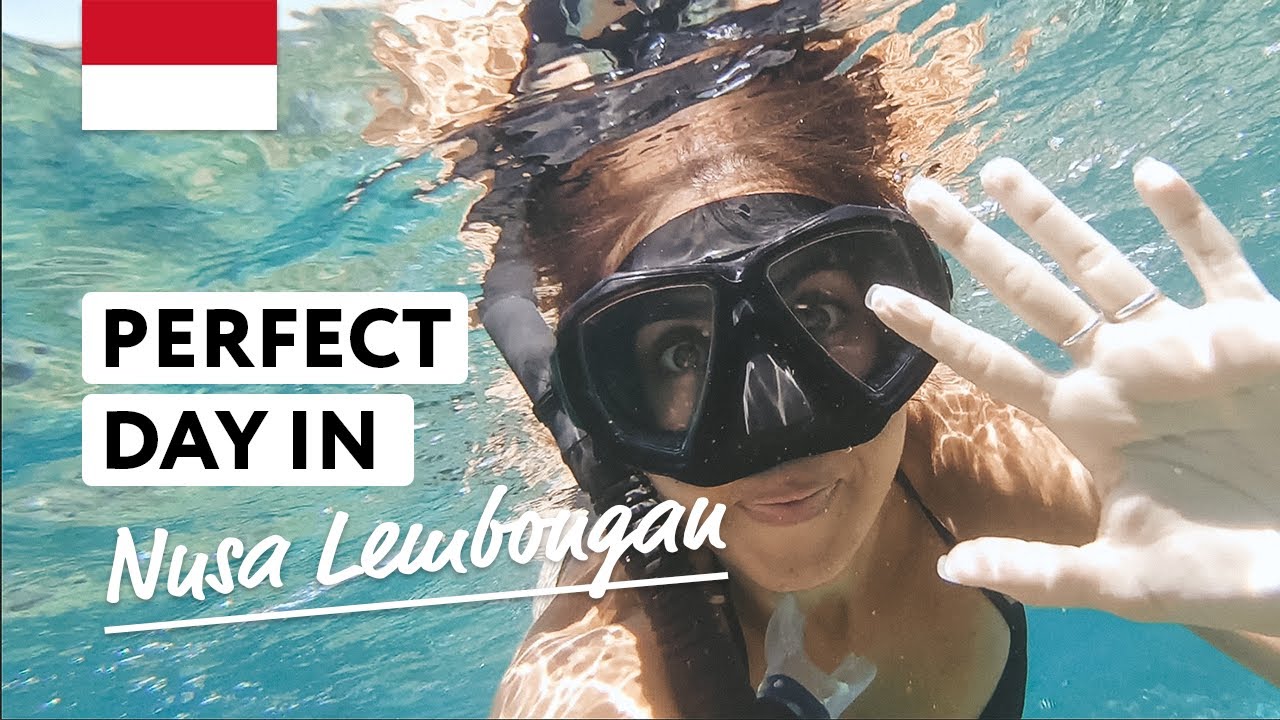 Embark on an exhilarating exploration of the lush Mangrove Forest.