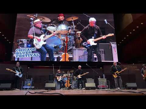 Los Lobos - 2023 Chicago Blues Festival - Jay Pritzker Pavilion - Chicago, IL - 6/11/2023 [4K]