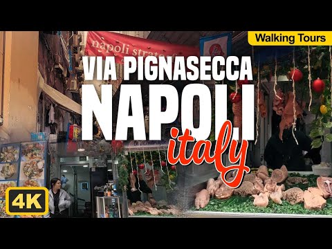 Naples Walking Tour 4K UHD  Via Pignasecca Street Food & Evening Market 🇮🇹