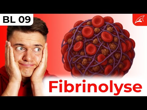 Fibrinolyse und Regulation der Hämostase - einfach erklärt! // Plasmin, AT III, Protein C & S ...
