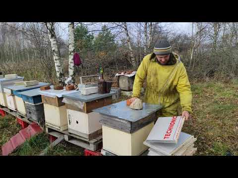 Пчеловодство. Заставные из пеноплекса. Установка утепленных заставных для комфортной зимовки пчёл.