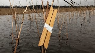 Ловля налима вершей в ноябре