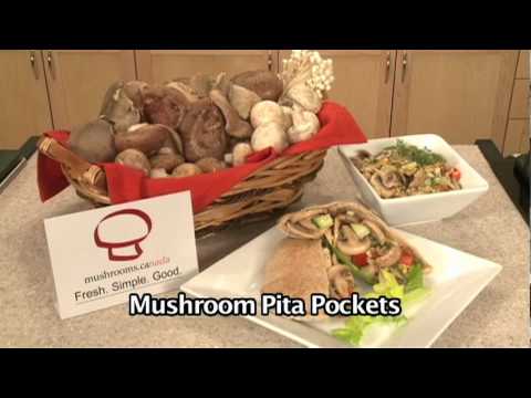 download lagu mp3 mp4 Mushroom Pita, download lagu Mushroom Pita gratis, unduh video klip Mushroom Pita