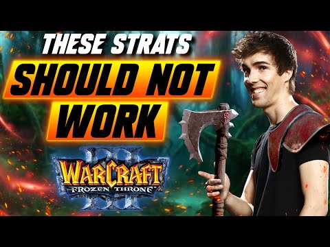 RIDICULOUS WARCRAFT 3 STRATEGIES THAT SHOULD NOT WORK