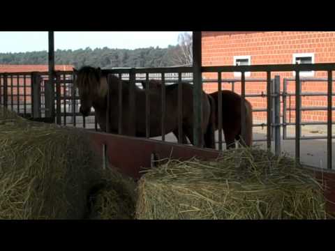 Kronshof-Presseseminar 2011 - Hofrundgang