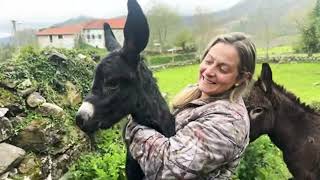 ‼ A donkey was born ‼