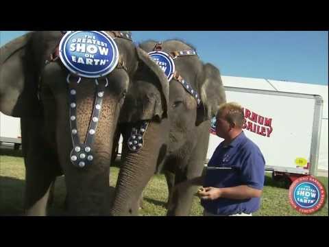 Ringling Bros Presents DRAGONS - Behind The Scenes with the Elephants of the Wisdom Tribe