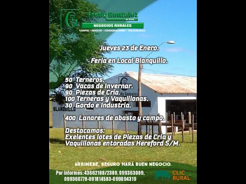 23/1/2025 Blanquillo - Durazno - Fredy González y Cía Ltda