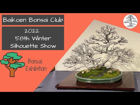 2022 58th Baikoen Bonsai Club Winter Silhouette Show - Exhibition Commentary - Baikoen Bonsai Club