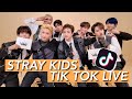 STRAY KIDS - TIK TOK LIVE [ALL IN 11.04.2020 - FULL]