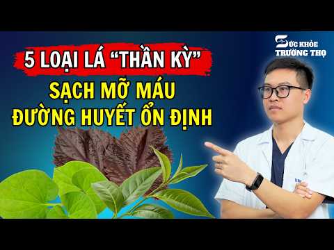 Top 5 Types of Leaves That "Cleanse" Blood Fat and Stabilize Blood Sugar