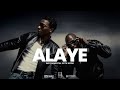 Wizkid Asake Alaye Instrumental With Hook