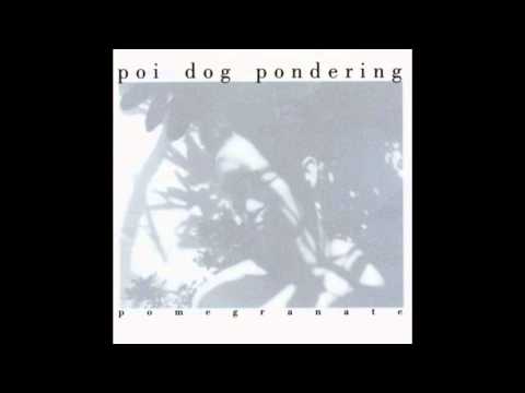 Poi Dog Pondering -  Pomegranate