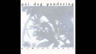 Poi Dog Pondering -  Pomegranate