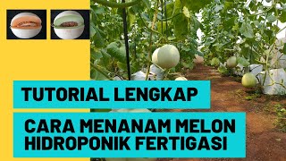 Download lagu Tutorial Lengkap Cara Menanam Melon Hidroponik / Hidroponik Sistem Fertigasi / Irigasi Tetes mp3 Download lagu Tutorial Lengkap Cara Menanam Melon Hidroponik / Hidroponik Sistem Fertigasi / Irigasi Tetes mp3