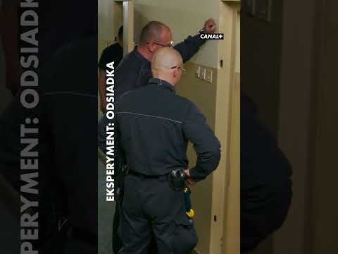 Gimper zmyślny konstruktor | Eksperyment: Odsiadka | Oglądaj w CANAL+ #eksperymentodsiadka