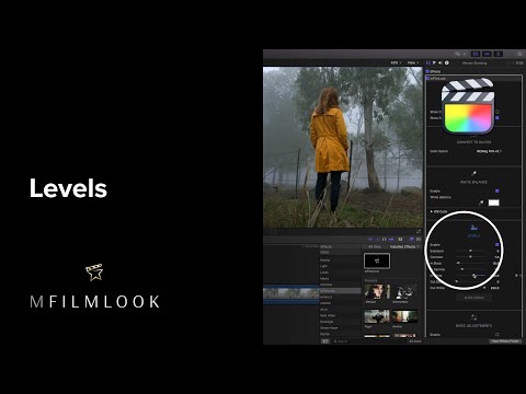 04 - Levels - mFilmLook FCP Plugin Tutorial - MotionVFX