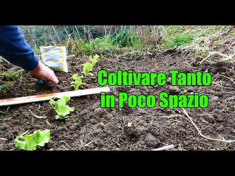 Orto nel Bosco - New Crop Management