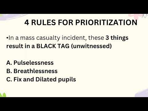 Mark Klimek Lecture 12 Notes Prioritization Delegation