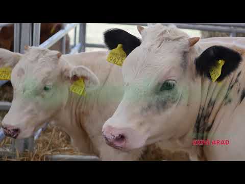 Agromalim 2021, 2-5 septembrie, Expo Arad