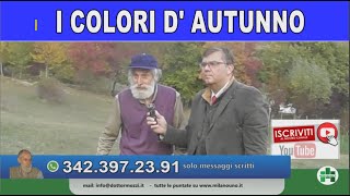 Con il Dottor Piero Mozzi e la Dieta del Gruppo Sanguigno I COLORI D'AUTUNNO A MOGLIAZZE