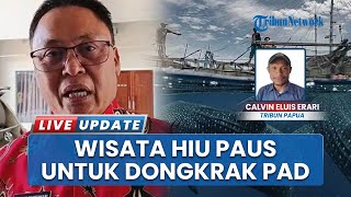 Pantai Kota Nabire Dibenahi, Wisata Hiu Paus Jadi Strategi Dongkrak Pendapatan Asli Daerah