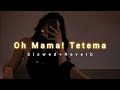 Oh Mama Tetema Song Slowed Reverb Shreya Ghoshal Rayvanny Breath