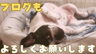 今後はブログへ！色々集約していきます