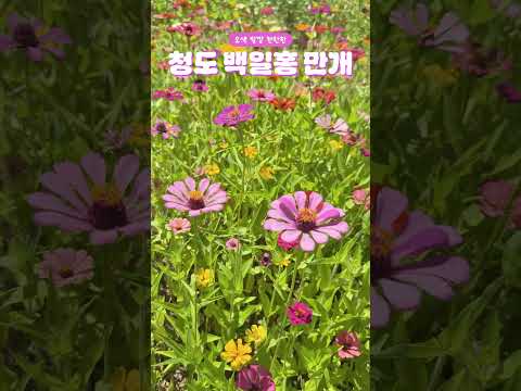 8월에 나갔는데 갑자기...