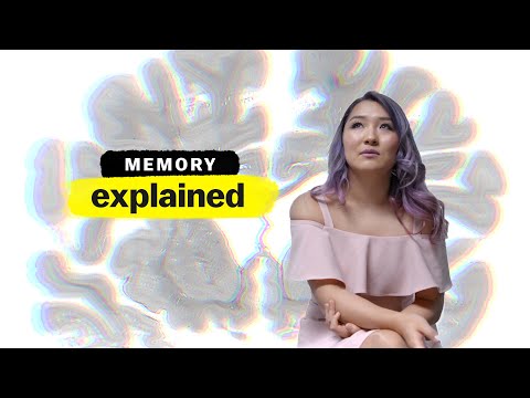 The Science Behind How You Form Memories Inside Your Brain Explained