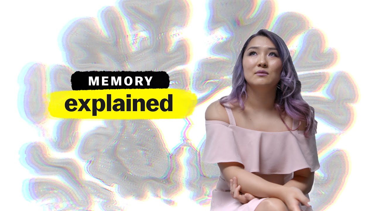Memory, Explained | FULL EPISODE | Vox + Netflix