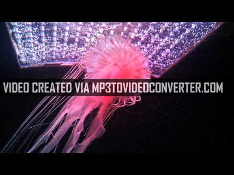 In My Room (Yellow Claw and DJ Mustard) vs No Money (Galantis)