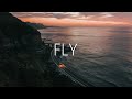 Kevin Moreno - Fly (Lyrics) LUIS CAV3 Remix