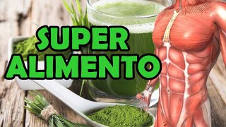 Spirulina - Para Que Serve? Veja os Benefcios Para Emagrecer com Spirulina