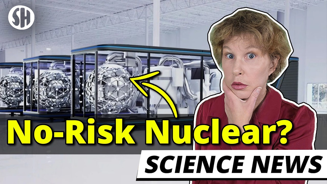 These Reactors Solve The Nuclear Safety Problem