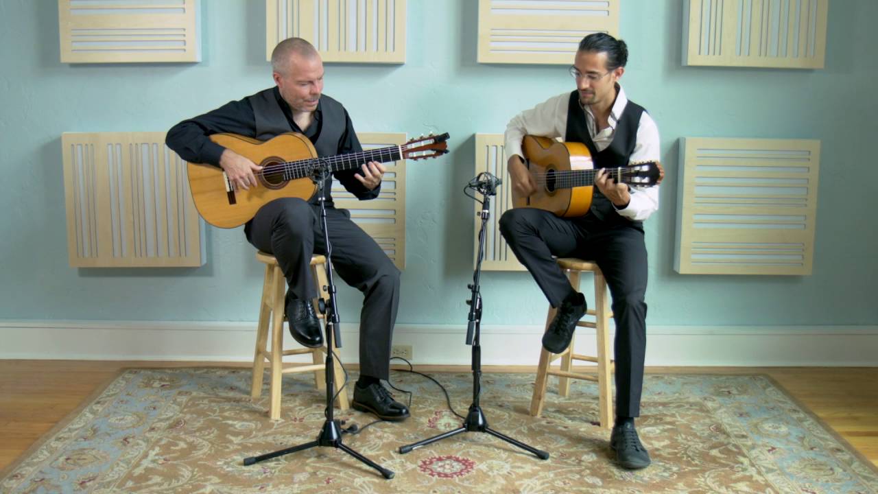 Promotional video thumbnail 8 for Martin Metzger ~ Solo, Duo and Ensemble