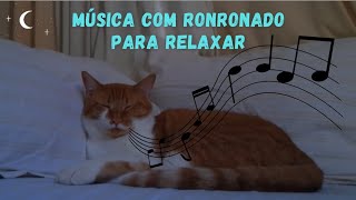 Música para acalmar gato agitado (Com RONRONADO de gato)