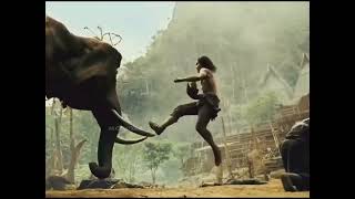 ong bak👊whatsapp status