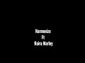Ushamba Remix(video lyrics )  - Harmonize ft Naira Marley