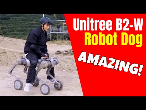 Unitree B2 Review Video 3