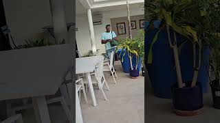 You must try this next time on your cruise! #short #cruise #travel #youtubeshorts